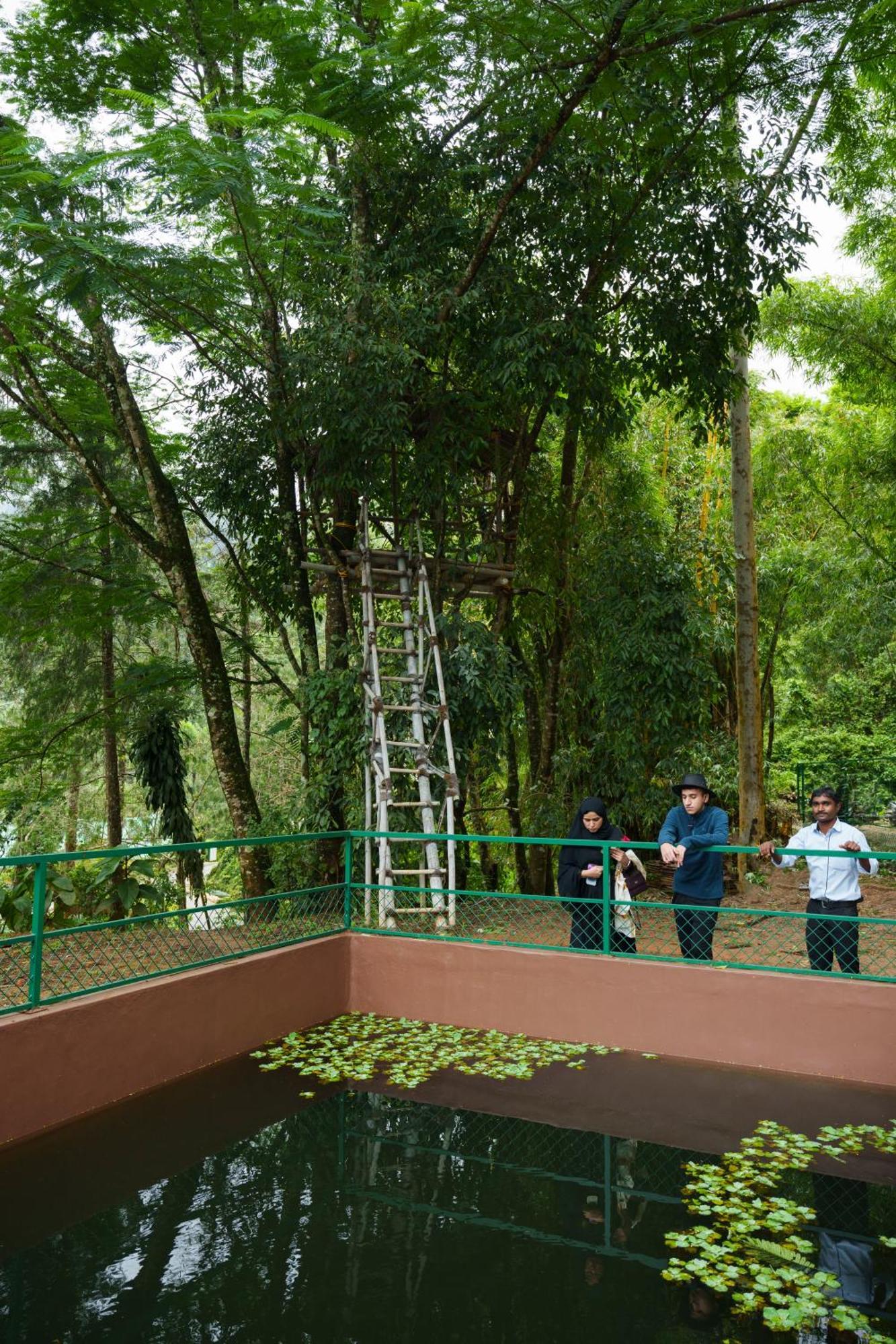 Rivulet Resort Munnar Bagian luar foto