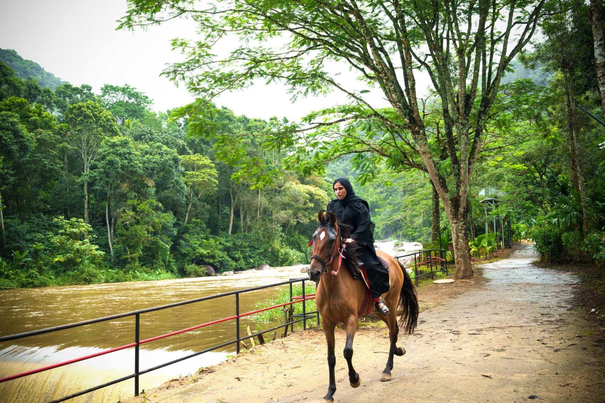 Rivulet Resort Munnar Bagian luar foto