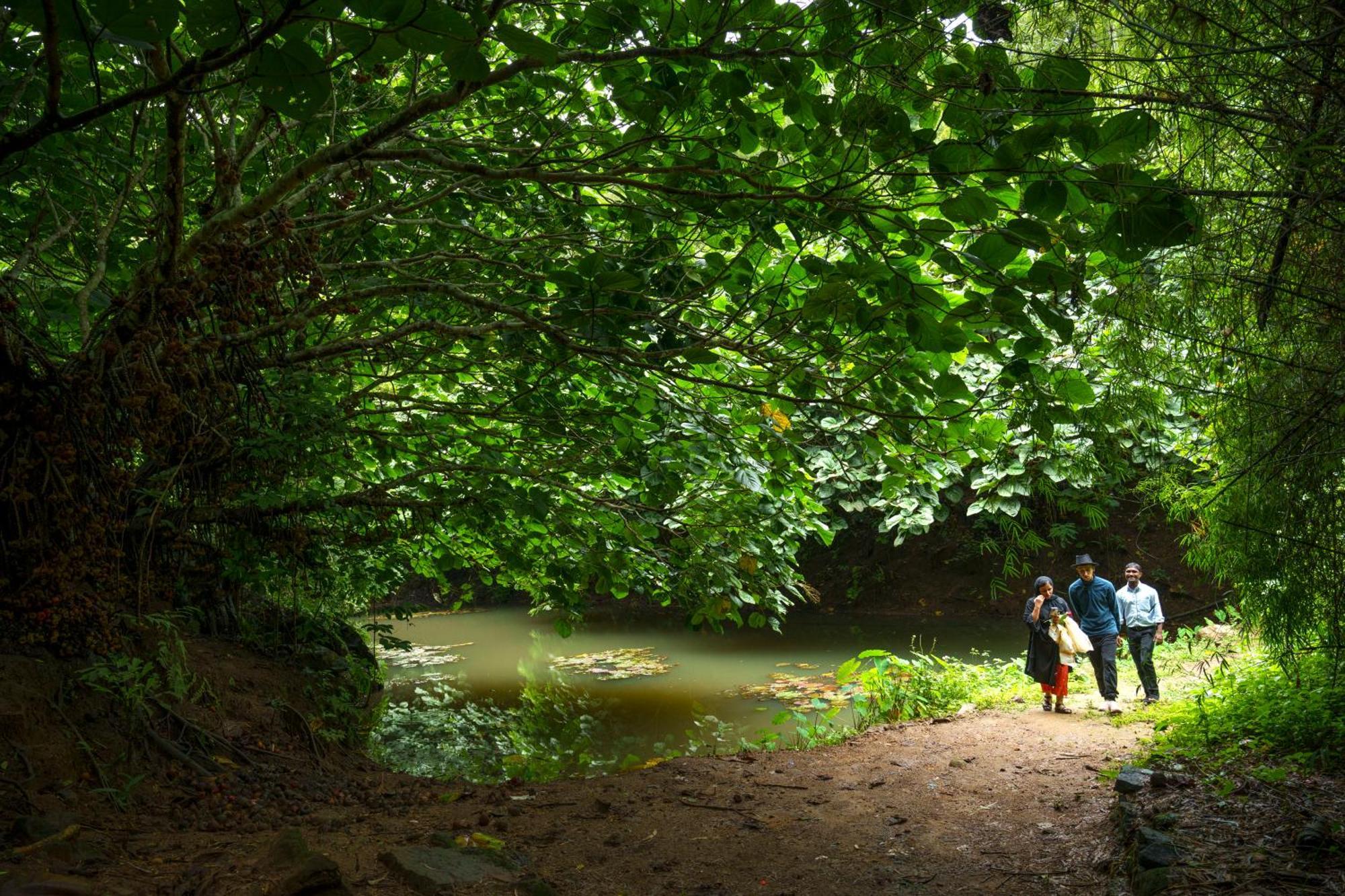 Rivulet Resort Munnar Bagian luar foto