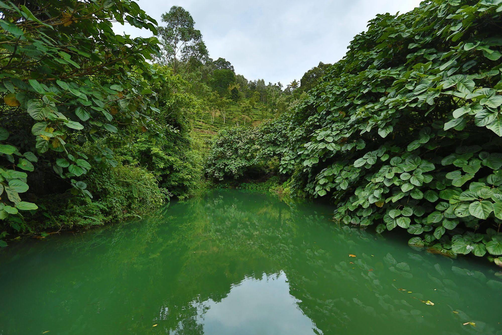 Rivulet Resort Munnar Bagian luar foto