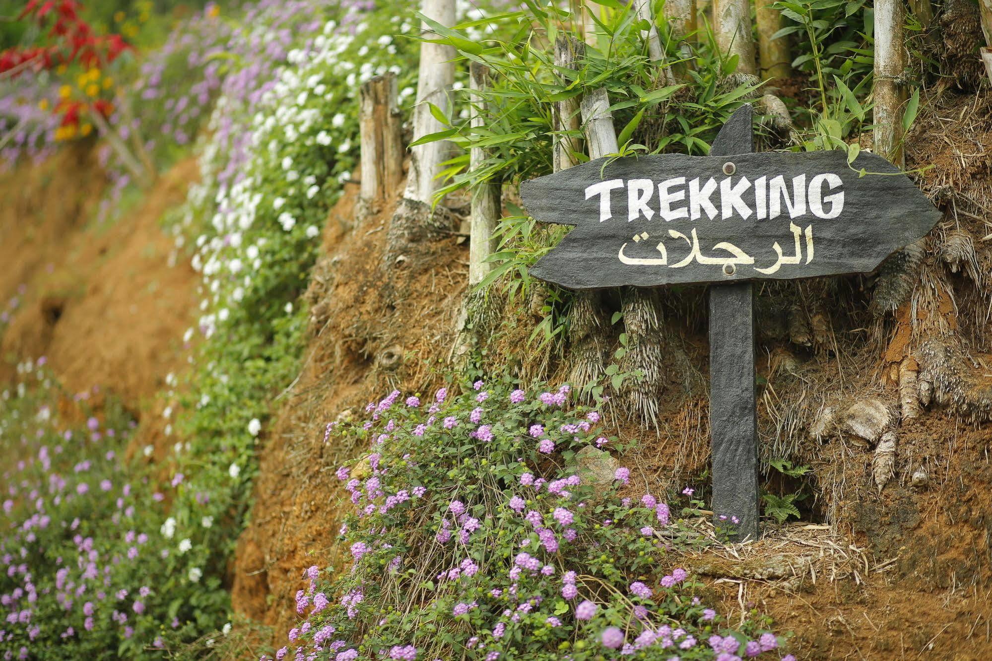Rivulet Resort Munnar Bagian luar foto