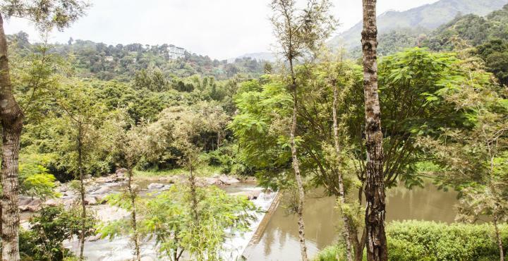 Rivulet Resort Munnar Bagian luar foto